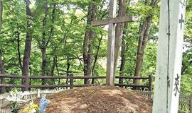 Netikros pasaulio įžymybės