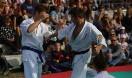 Japonų kultūros diena Kultūros fabrike