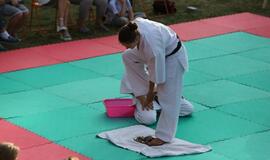 Japonų kultūros diena Kultūros fabrike