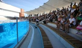 Jūrų muziejaus delfinariumas atidarymas