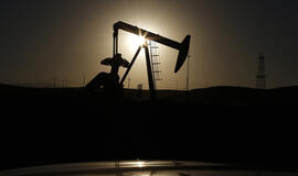 Pirmadienį nafta pinga