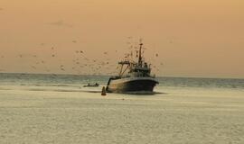 Pritarė žvejybos kvotų skyrimo principams