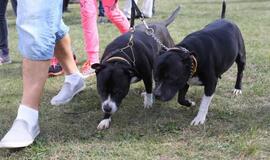 Gargžduose - Pasaulinės gyvūnų dienos šventė