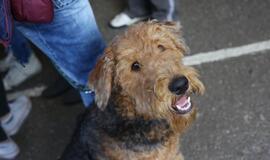 Gargžduose - Pasaulinės gyvūnų dienos šventė