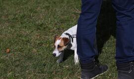 Gargžduose - Pasaulinės gyvūnų dienos šventė