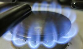 Baigtos Klaipėdos-Kuršėnų dujotiekio statybos