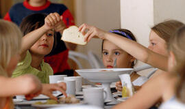 Cinikės požiūris, arba Kas suvalgė lašišą?