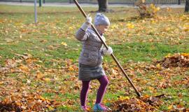 Lapų grėbimo talka