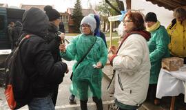 Neringos gimtadienis