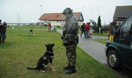 Neringos gimtadienis