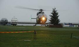 Neringos gimtadienis