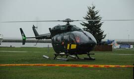 Neringos gimtadienis