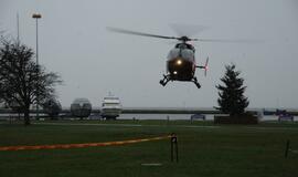 Neringos gimtadienis