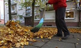 Aukštojo mokslo diplomas - kliūtis norint išgyventi?