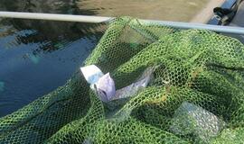 Dešimtys žmonių atsiliepė į Vienos policijos pranešimą apie Dunojaus upėje sužvejotus eurus