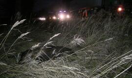 Rytinis reidas Klaipėdoje