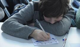 Istorinių komiksų kūrybinės dirbtuvės