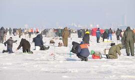 Kas išgaudo stintas?