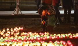 Žvakučių akcija Vasario 16-osios proga