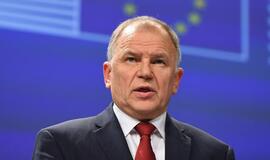 Vytenis Povilas Andriukaitis: Prezidentė ir pati prisideda prie krizės skatinimo