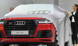 Dyzelinis skandalas nusmukdė "Audi" pelną