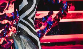 Delfinai ir žvaigždės: Nerijus Juška