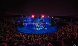 Delfinai ir žvaigždės: Nerijus Juška