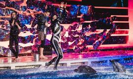 Delfinai ir žvaigždės: Nerijus Juška