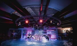 Klaipėdos delfinariume -  "Delfinai ir žvaigždės"