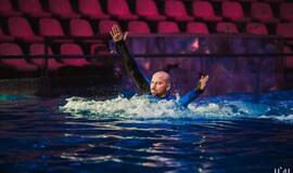 Klaipėdos delfinariume -  "Delfinai ir žvaigždės"