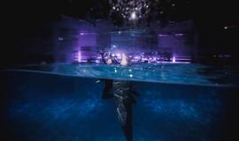 Klaipėdos delfinariume -  "Delfinai ir žvaigždės"