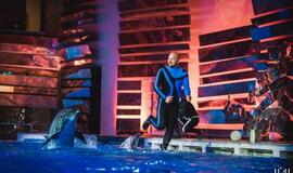 Laidos "Delfinai ir žvaigždės" filmavimo užkulisiai