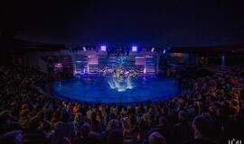 Delfinai ir žvaigždės: Nerijus Juška