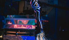 Delfinai ir žvaigždės: Nerijus Juška