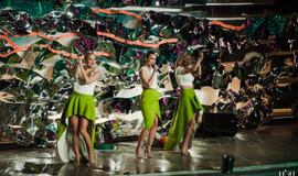 Klaipėdos delfinariume -  "Delfinai ir žvaigždės"