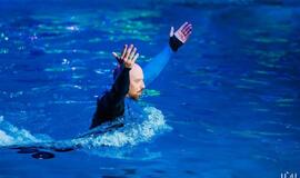 Klaipėdos delfinariume -  "Delfinai ir žvaigždės"