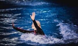 Klaipėdos delfinariume -  "Delfinai ir žvaigždės"