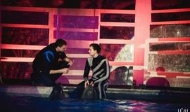 Delfinai ir žvaigždės: Nerijus Juška