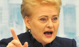 Prezidentė Dalia Grybauskaitė: grėsmės NATO saugumui aiškiausiai matomos Baltijos valstybėse