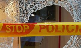 Vagystės Klaipėdoje persikraustė į prekybos centrus