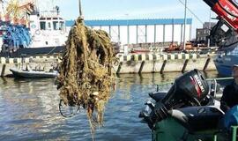 Kuršių marios - švariau ir saugiau