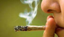 „Žolininkai" visai suįžūlėjo: suktines užsitraukė M. Mažvydo alėjoje