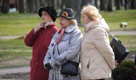 Skulptūrų parke gurkšnota "Vynerio arbatėlė"