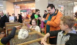 Tarptautinė dekoratyvinių vištų, balandžių bei triušių paroda "Akropolyje"