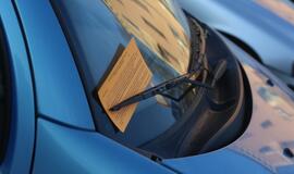 Viešosios tvarkos skyriaus vakarinis reidas