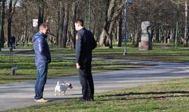 Viešosios tvarkos skyriaus vakarinis reidas