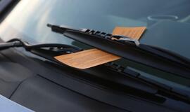 Viešosios tvarkos skyriaus vakarinis reidas