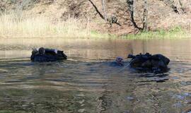 Klaipėdos pėstininkų kuopa blogo oro nepabūgo