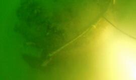 Netoli Klaipėdos uosto vartų - jūrinė mina