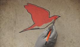 Šilutės miesto šventė